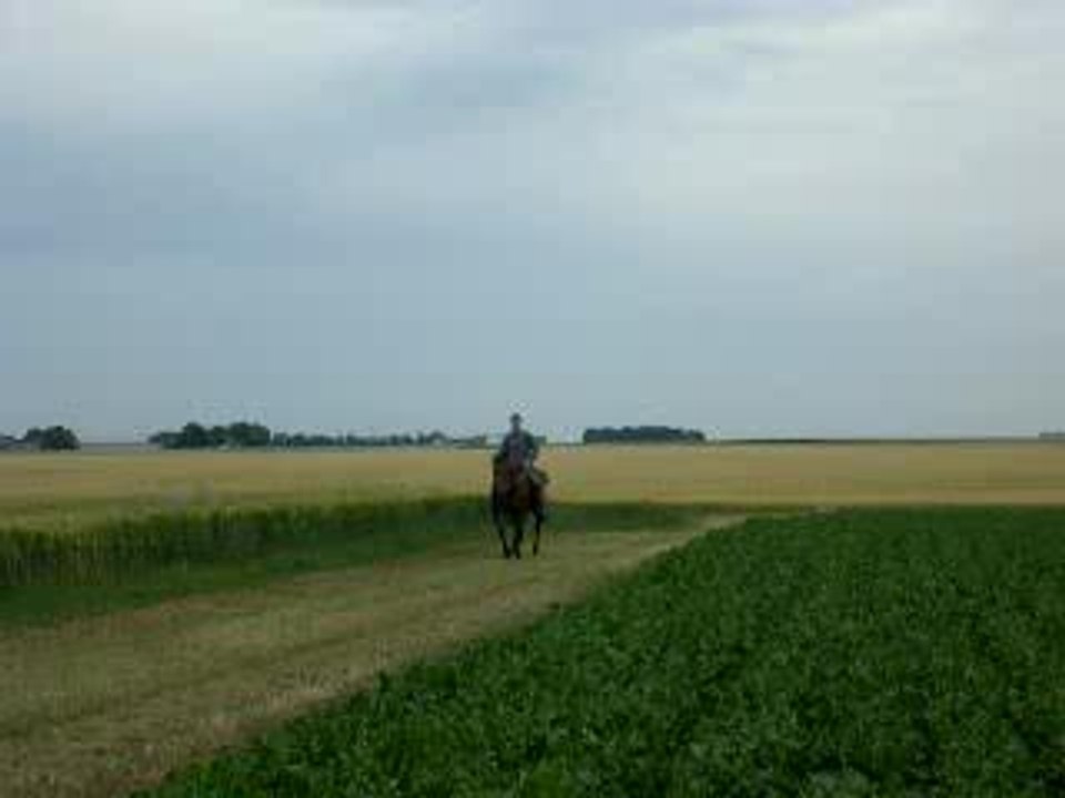 emilie avec gise en plaine