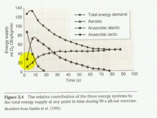 Fisiologia del ejercicio Entrenamiento Velocidad 5