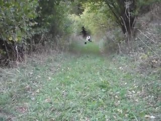 Mes toutous noir à la montagne