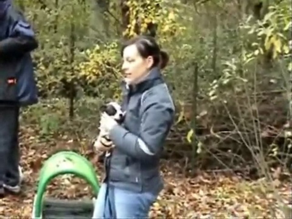 Enjy à l'ecole du chiot