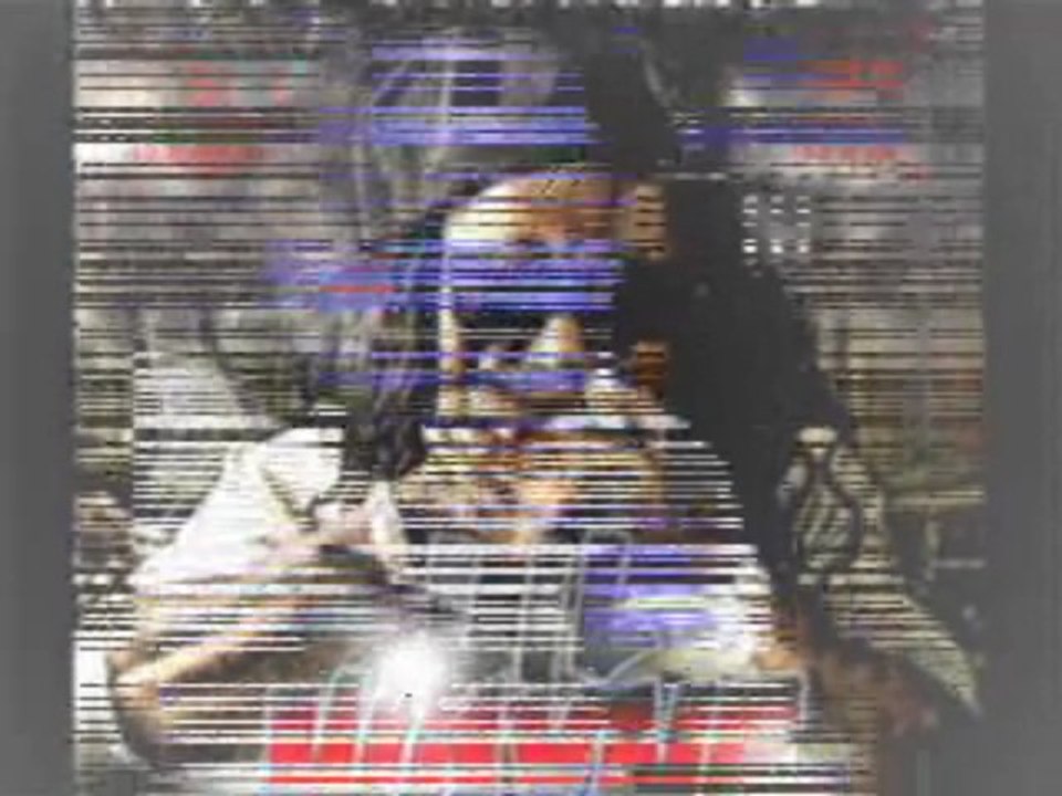 Lil Wayne - I Feel Like Dying