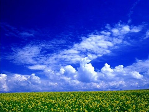 Esmaül Hüsna Engin Noyan 4