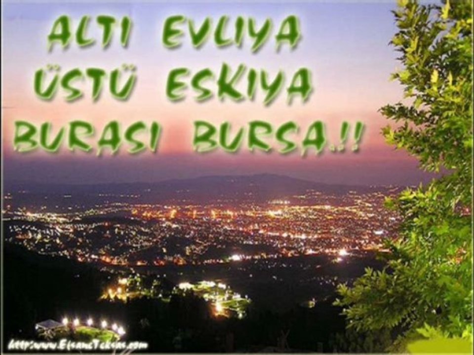 bursa