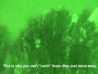 ovni usa,6 novembre 2009