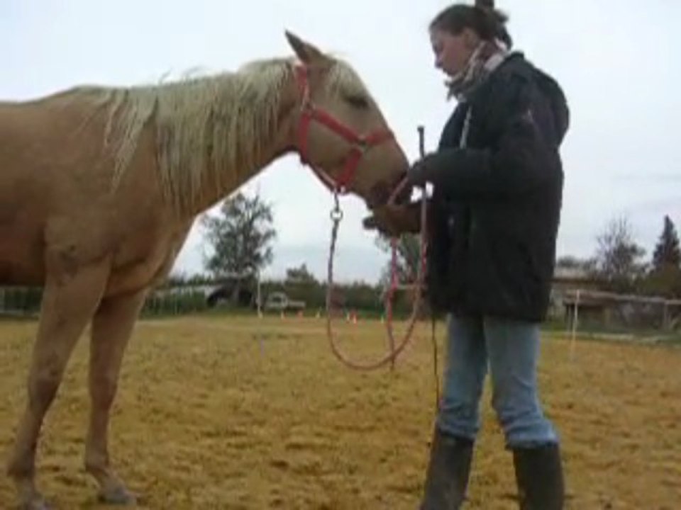Travail en main 2