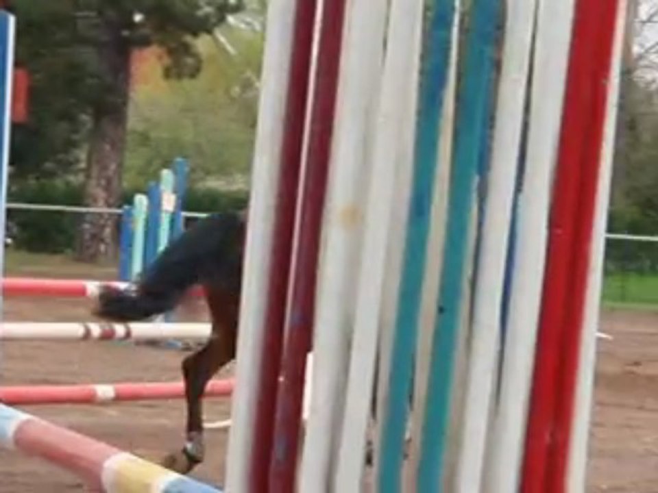 Amandine & Kid : Club 2 / 12 Avril 2009