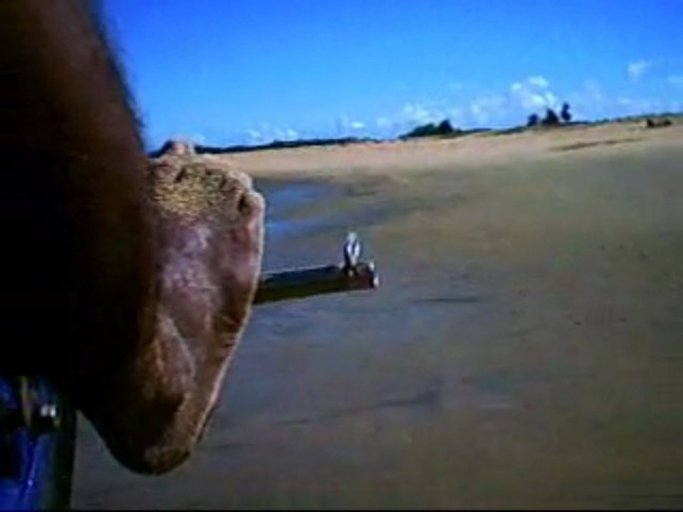 Buggy à Cayenne plage
