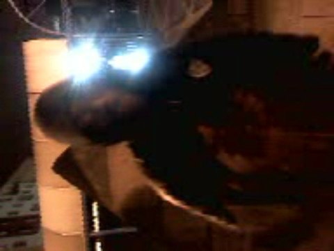 P.K.O en Freestyle Mek!