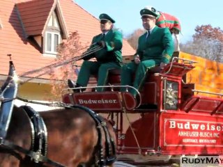 The Budweiser Clydesdale Horses of Merrimack, New Hampshire