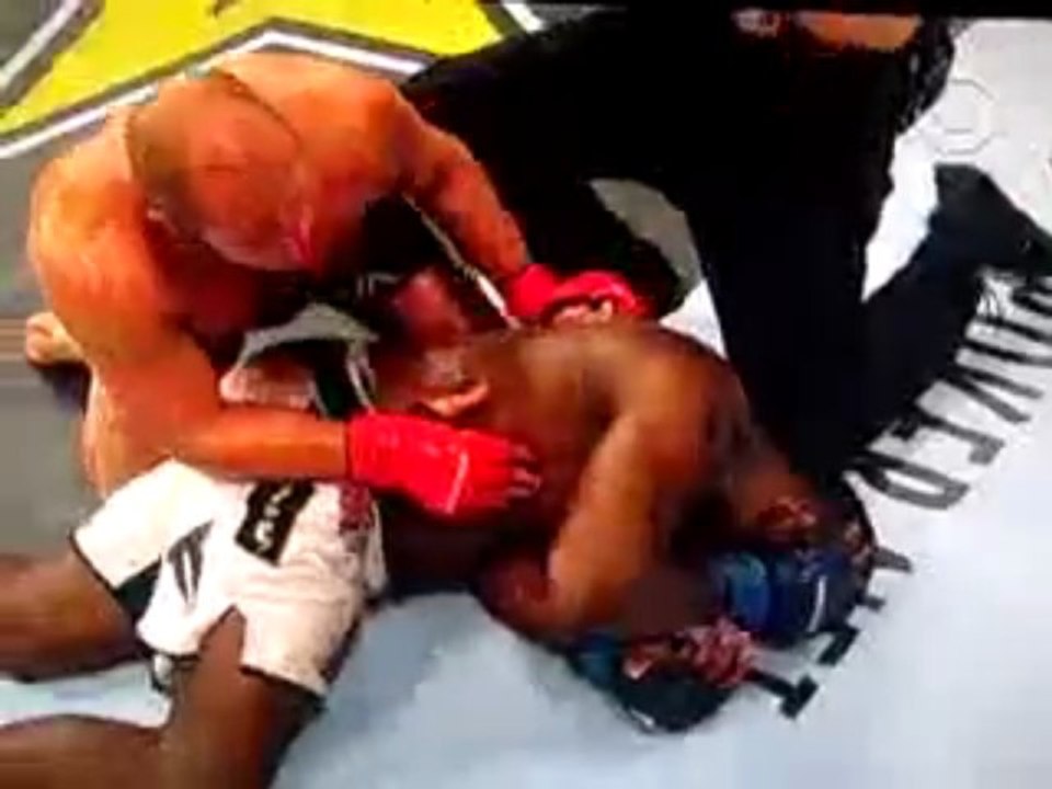 Fedor Emelianenko vs Brett Rogers big knock out!!!!