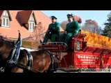 The Budweiser Clydesdales of Merrimack, New Hampshire