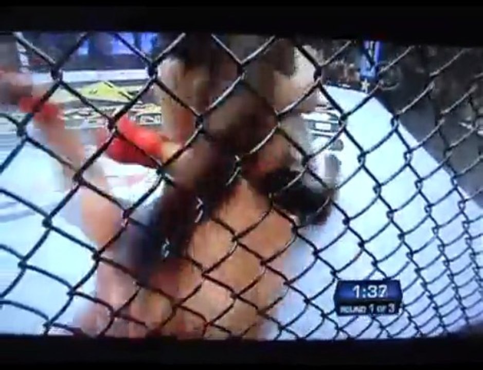 Fedor Emelianenko Vs Brett Rogers