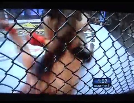 Fedor Emelianenko Vs Brett Rogers