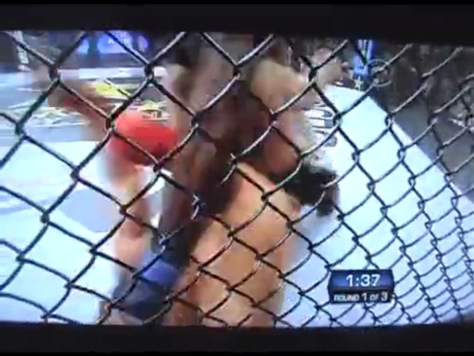 Fedor Emelianenko vs Brett Rogers