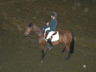 Compet' de Dress' avec Loupiot & Eglantine 1ere