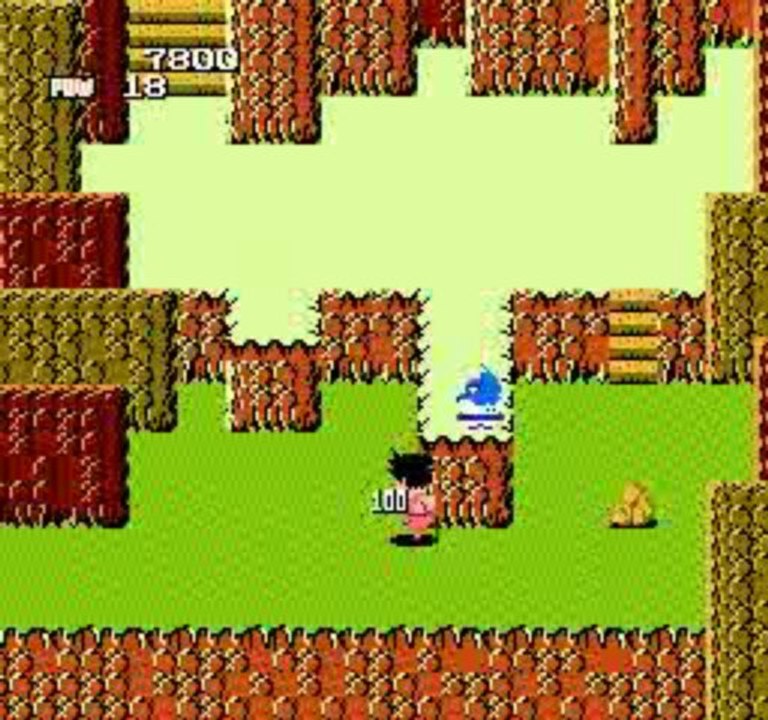 Dragon Ball - Le Secret Du Dragon (NES)