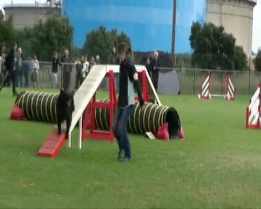 fos sur mer agility concours