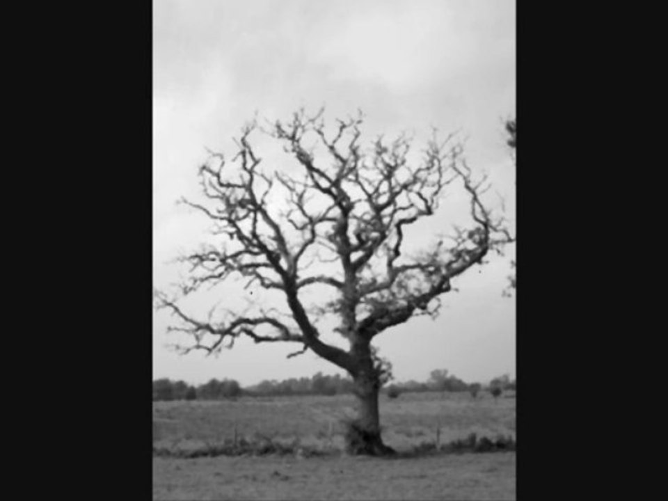 Permafrost of hatred - II