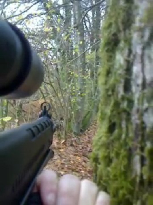 INSAirsoft - Sainte-Suzanne 21/11/2009 - Video #4