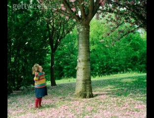 écologie _ A NOUS DE REAGIR !