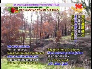 Shining World Hero: The Life-Saving Act of Jeune Mark