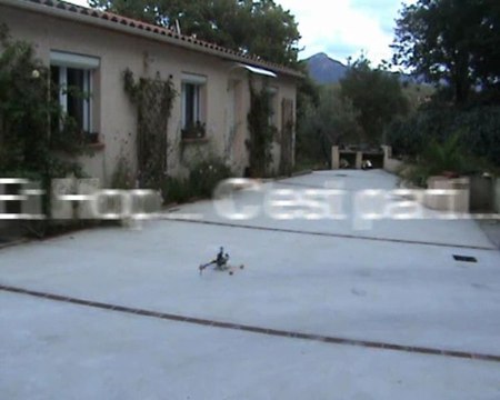 Premier vol du T-Rex 450 Sport