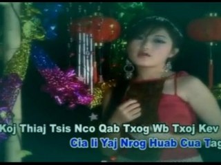 133 PUAS NCO HMO WB COG LUS ( PAJ HNUB LAUJ )