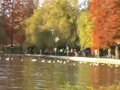 Alexandru Ioan Cuza Park in November 2009