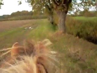 Pilou valeska moncé