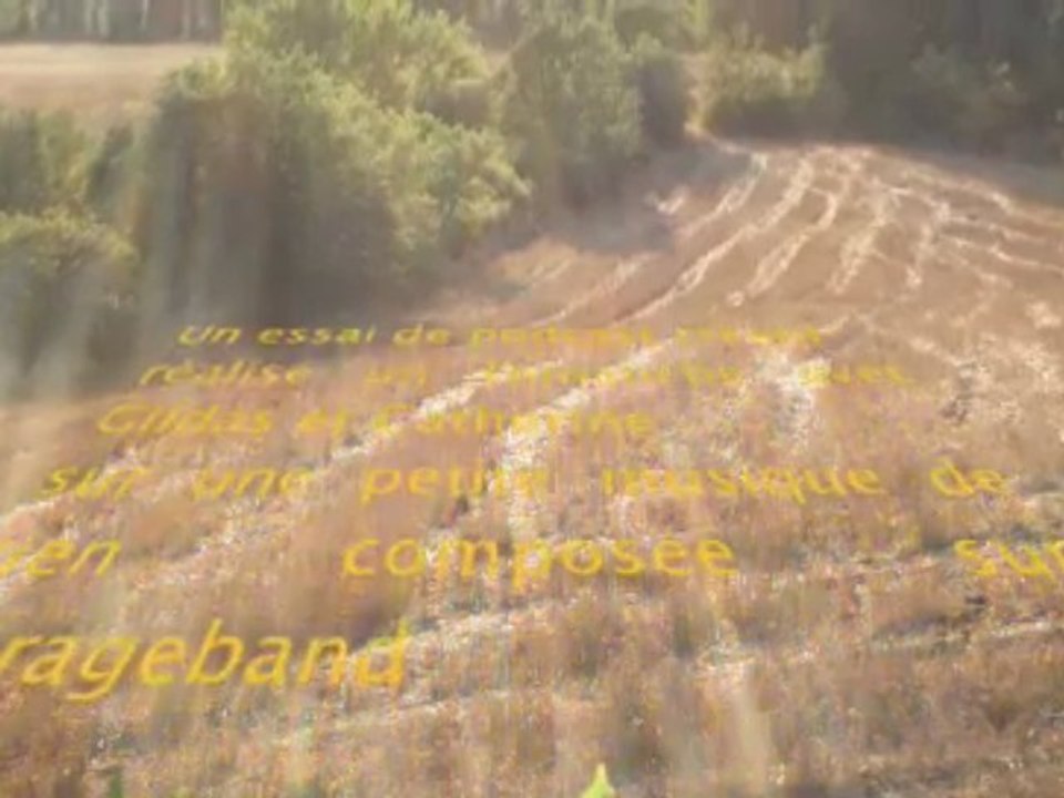 l'annonce libé