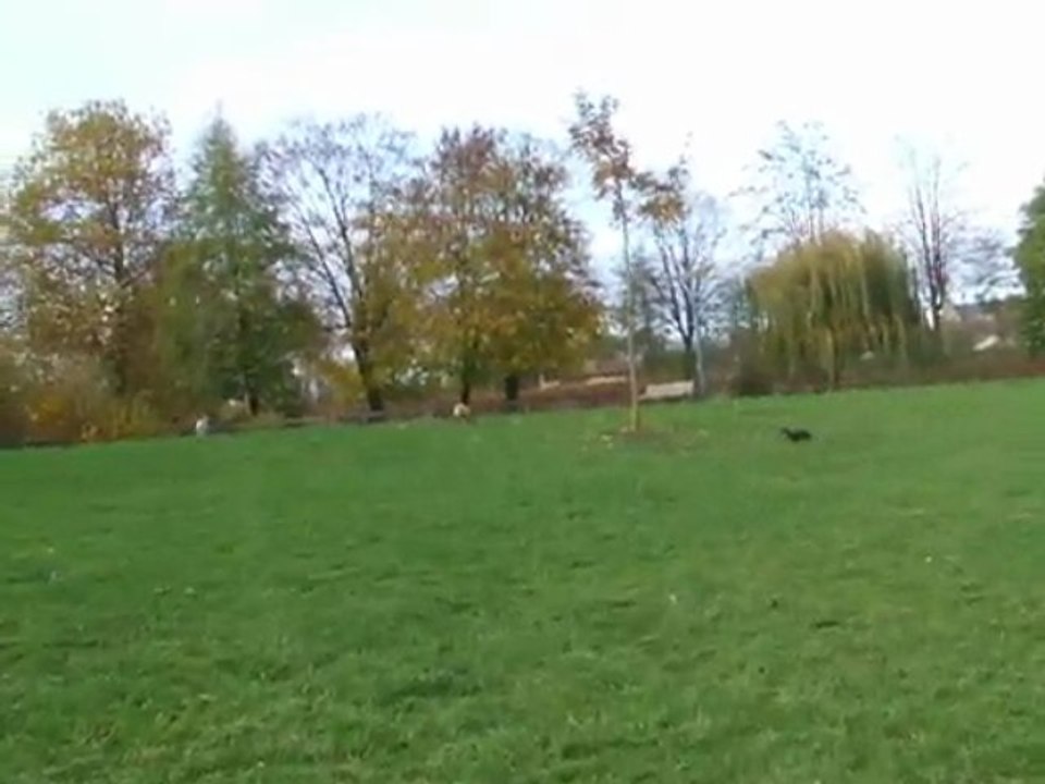 8 novembre 2009 Eden et Chloé au Jard