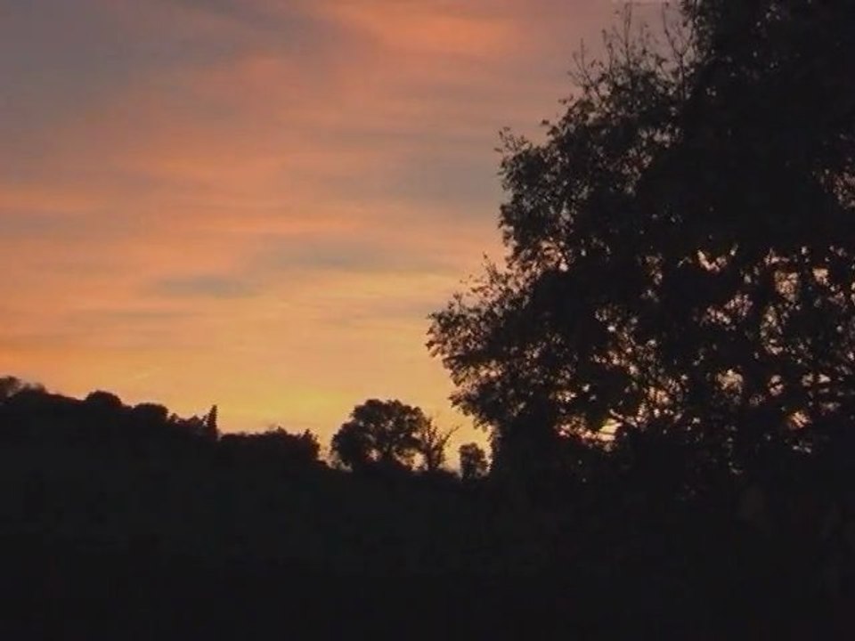 la Bête