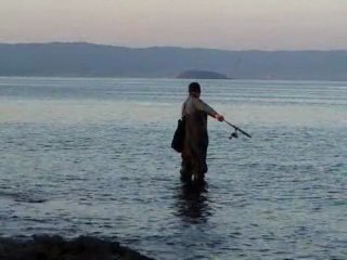 oyun havası ve at-çek