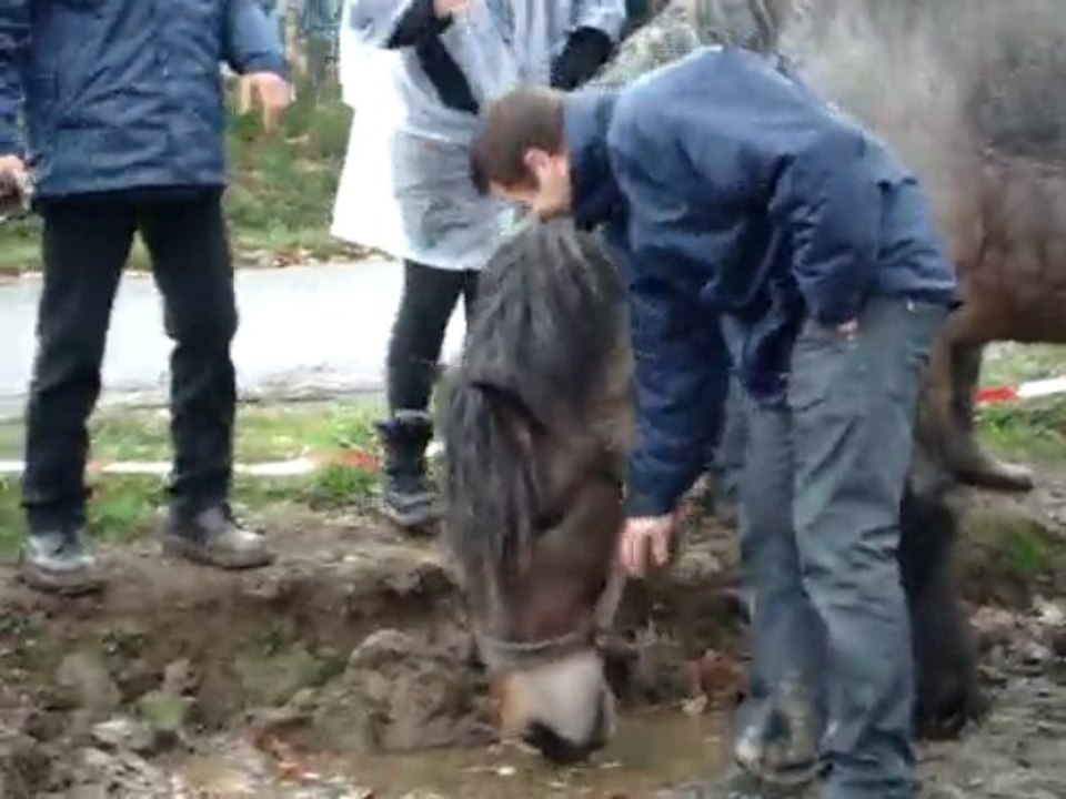 rally condroz 2009 gag