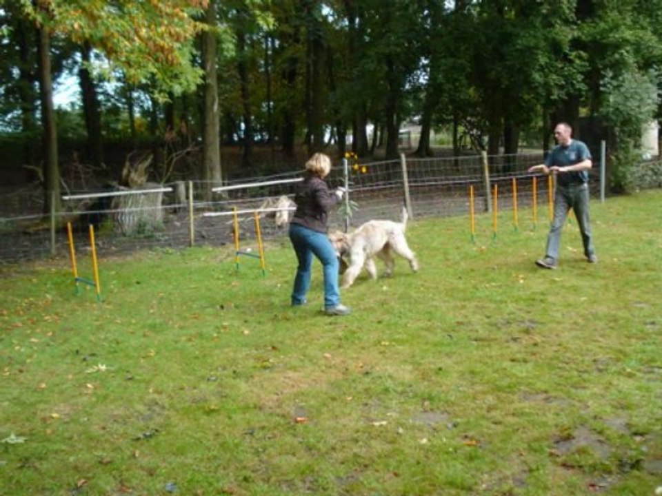Edelweiss 2009