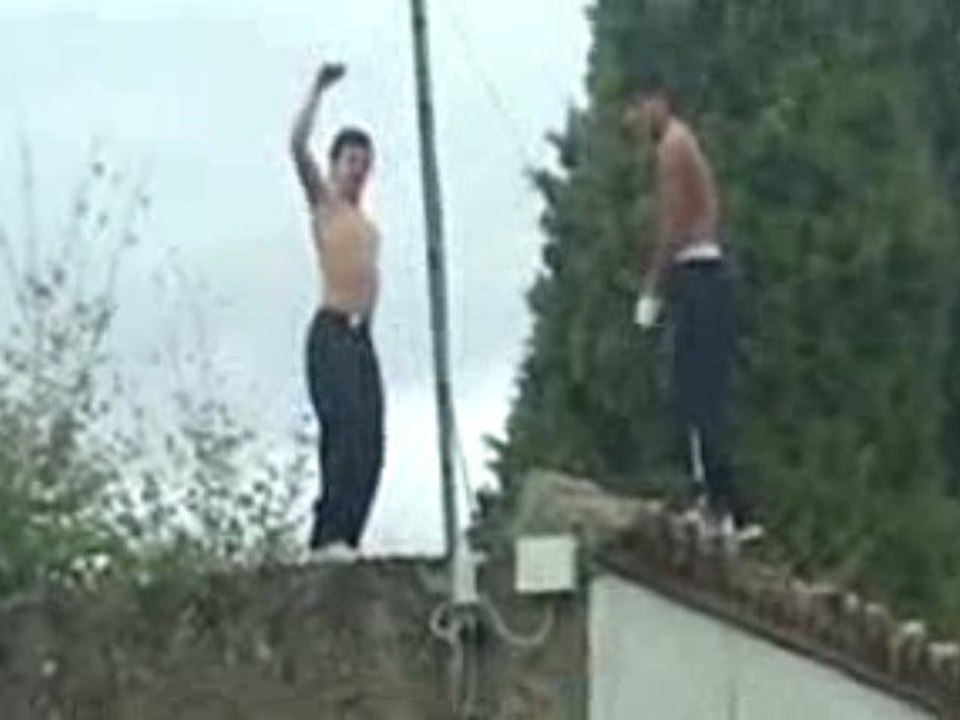 trickodancers