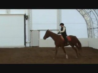 Ulysse des Tournesols