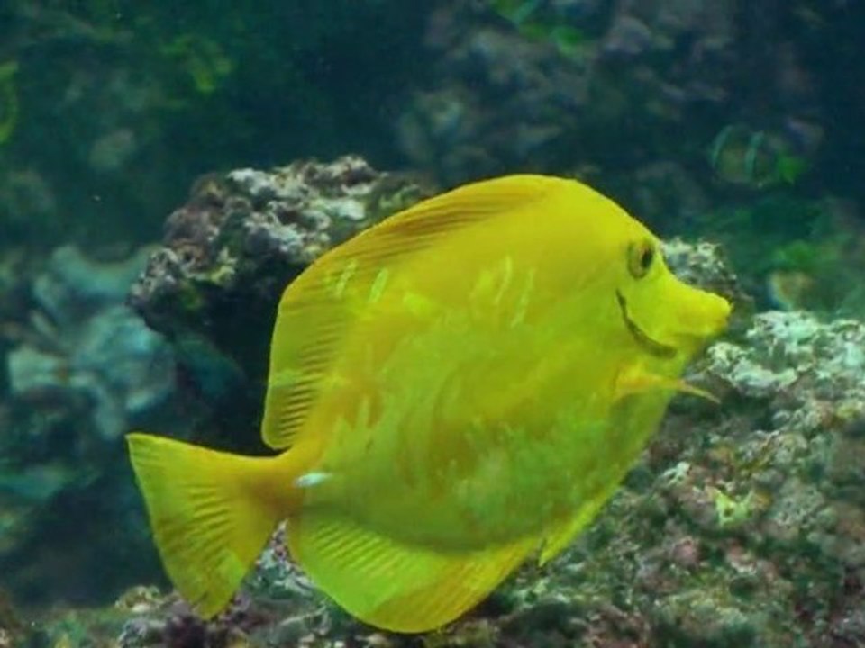 Notre Tour de France Episode #7 Océanopolis