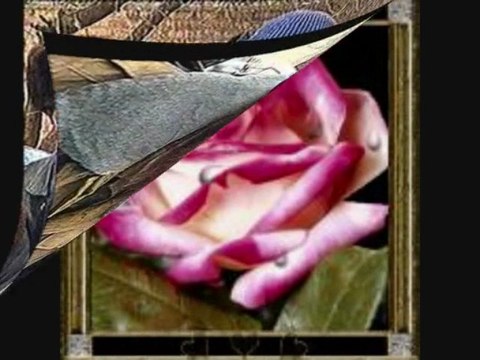 ben bir güzel gördüm vahdetyolu.com