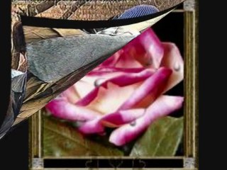 ben bir güzel gördüm www.vahdetyolu.com