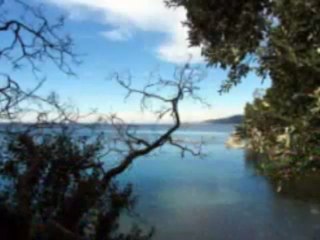 Yar ko ham ne ja-bja dekha - Abida Parveen(Raqs-e-Bismil)