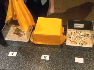 Derren Brown Predicts Sept. Lottery!!    W@tch: Part 2/7