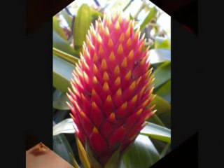 You are the only one