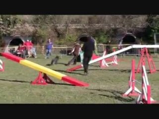 Buck Agility Aix En Povence
