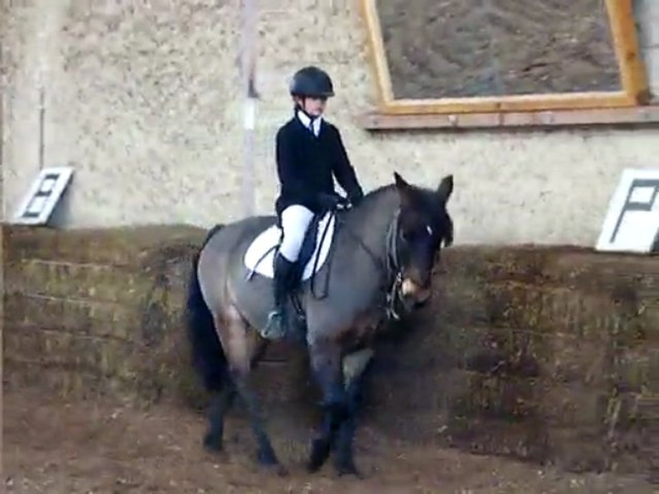 concours dressage ecurie d escazalou