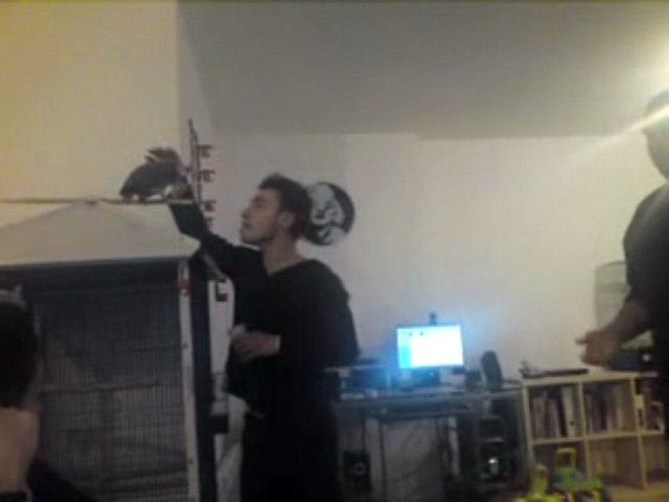 soiree chez seb et linda