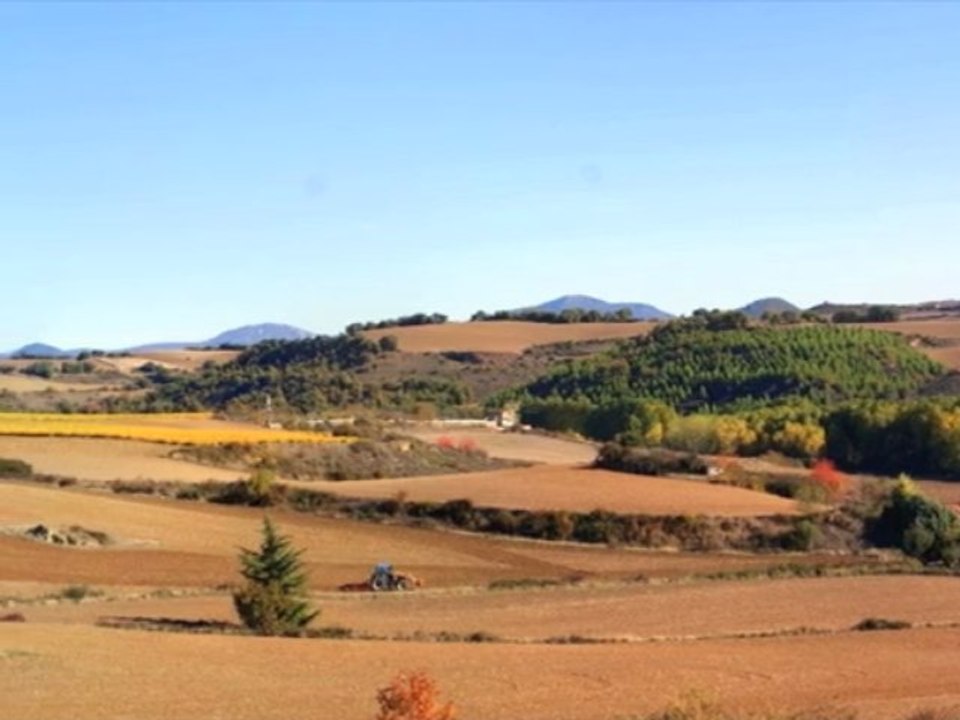 Desde Campflorite