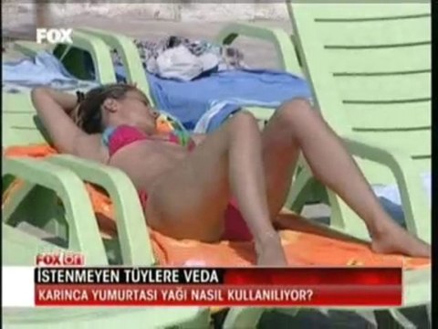 Fox Haber - Gutto Karınca Yumurtası Yağı