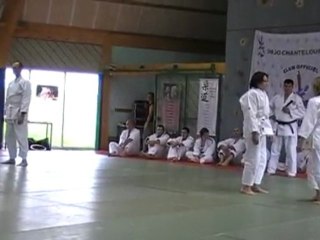 DEMONSTRATION DE JU JITSU