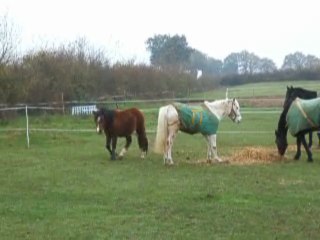 Un Nuage Ar Menez et Bambou
